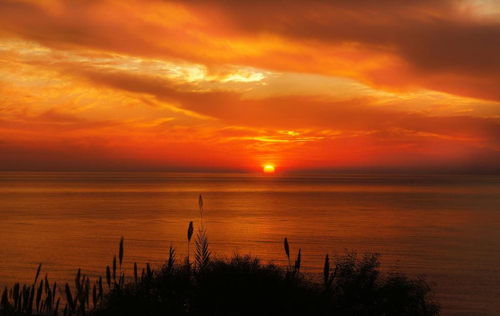 As the sun sets on Summer, it's time for a reset: Breathe, Move, Sleep to clear the noise and rebuild a routine you can sustain.