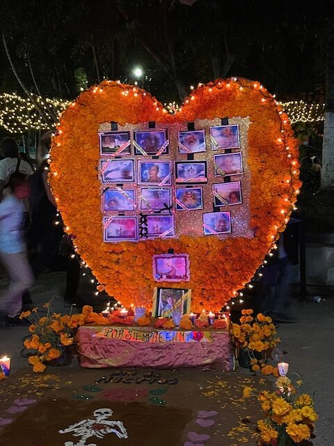 Families construct altars in the plaza of Sayulita to remember and celebrate their loved ones during Day of the Dead.