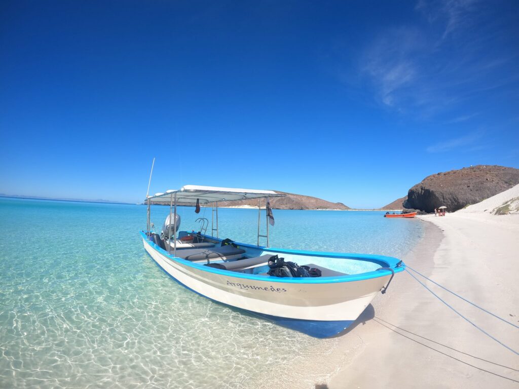 MeXplore Tours offers wellness in the form of natural marine life encounters.