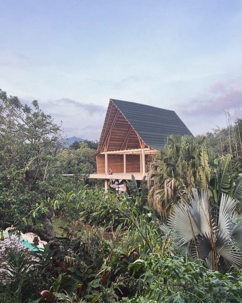 Amate Camp is the most comprehensively programmed retreat center in the Tepoztlán 